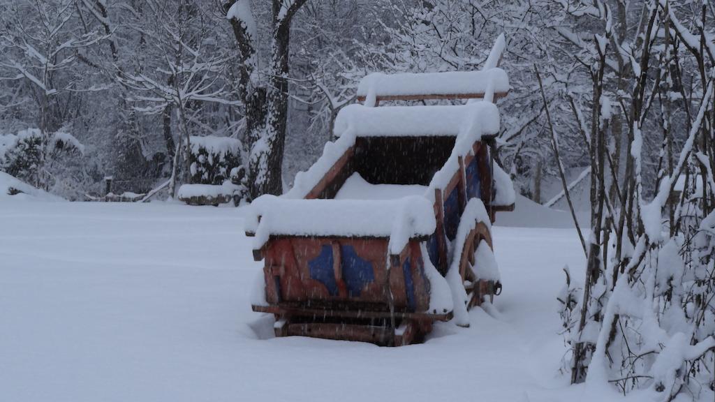 La Mola Maringalli Pension Cascia Buitenkant foto